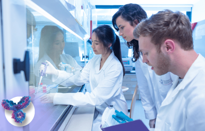 Measuring Size of antibodies and their fragments by SD-TDA